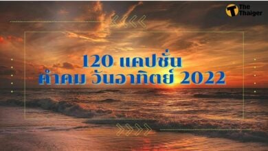 มัดรวม 120 แคปชั่น คำคม วันอาทิตย์ 2022 กวน ๆ ฮา ๆ อารมณ์ไหนก็โพสต์ได้