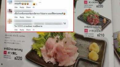 ซาชิมิหมู เครื่องในหมู เมนูหูดับ