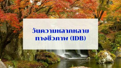 22 พฤษภาคม 2565 วันความหลากหลายทางชีวภาพ (IDB) คืออะไร มีกิจกรรมอะไรบ้าง 