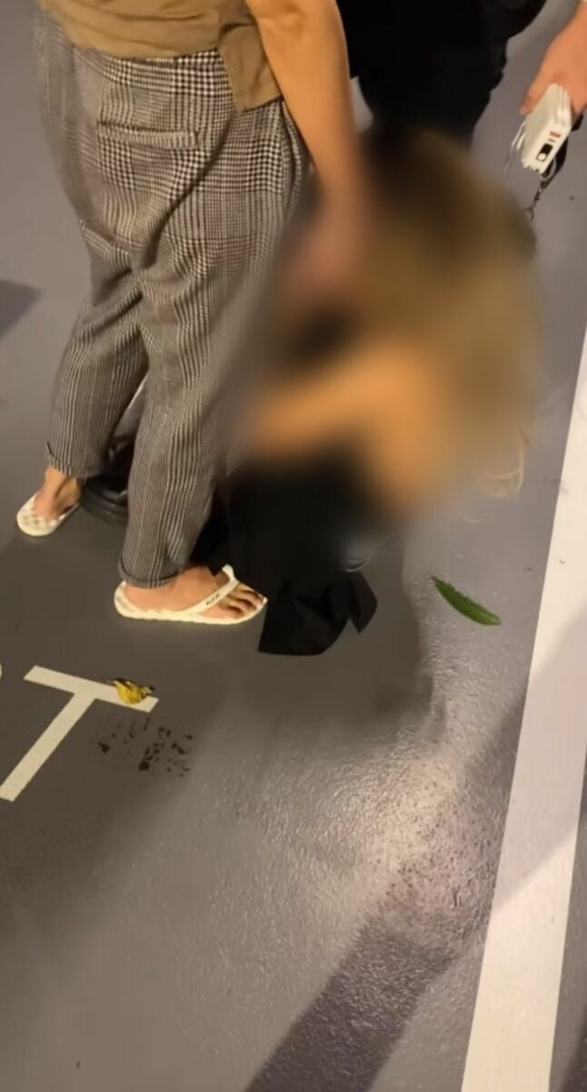 เคนลี เทคมีเอาท์ ตบแฟน