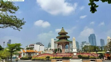 ดนตรีในสวน ป่าช้าวัดดอน