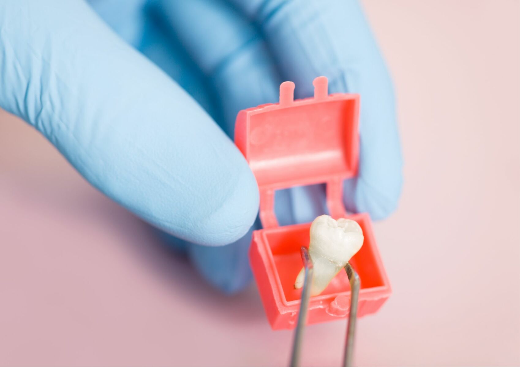 ฝันว่าฟันหลุด เลขเด็ด