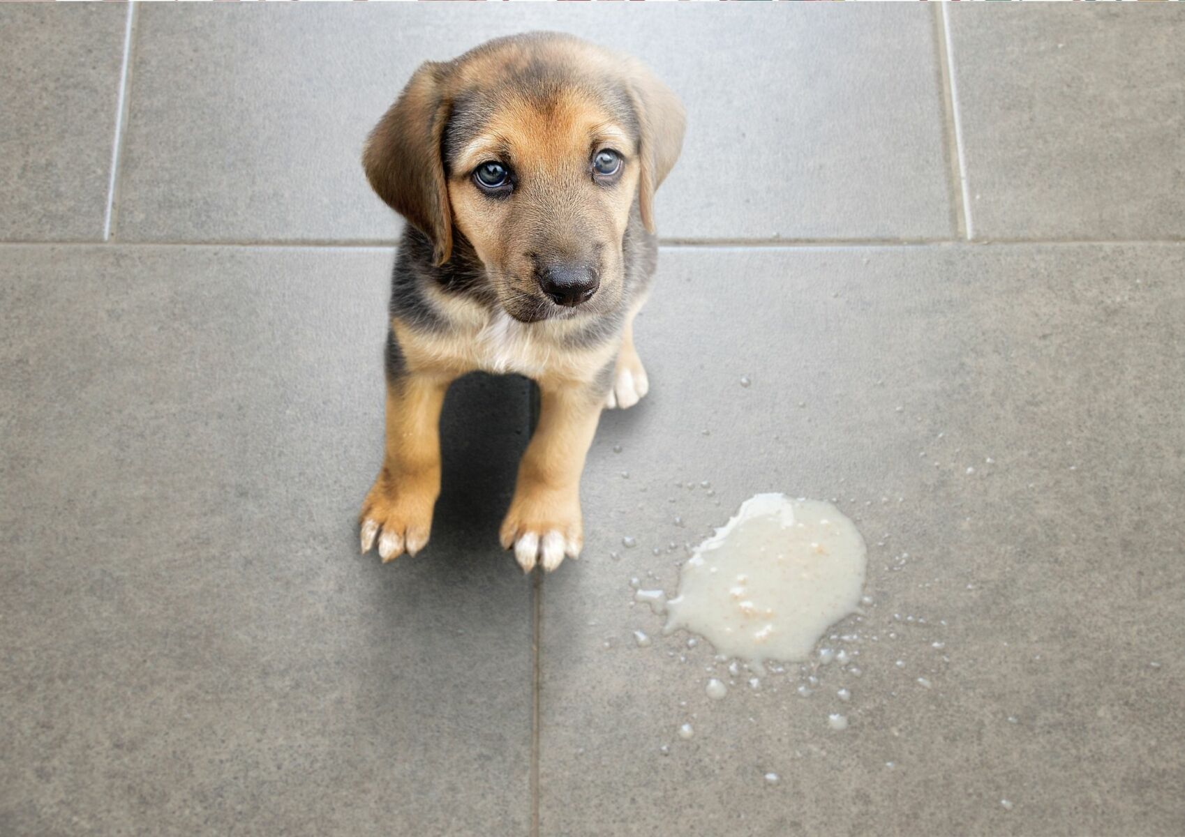 ฝันว่าอ้วก เลขเด็ด