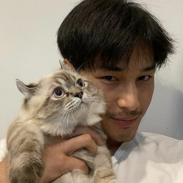 อาโป