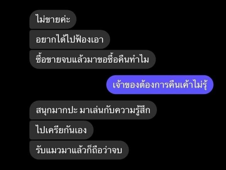 แมวหาย