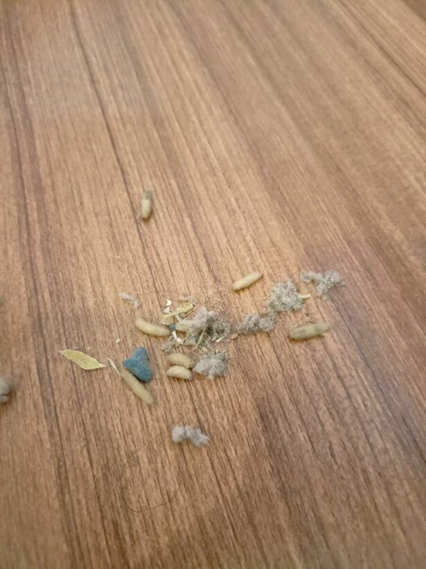 หนนอน ร่วงจากแอร์บ้าน