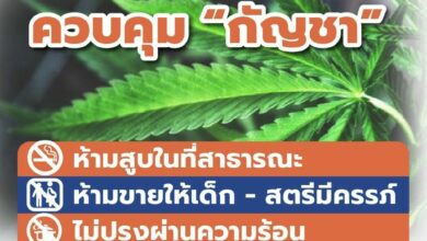 สธ. กัญชา