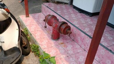 ไฟไหม้บ่อนไก่