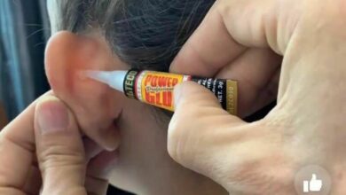 กาวตราช้างแก้หูกาง