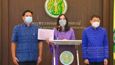 กระทรวงเกษตร เมล็ดพันธุ์กัญชา