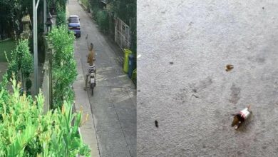 ข่าวเพื่อนบ้านทะเลาะกันล่าสุด