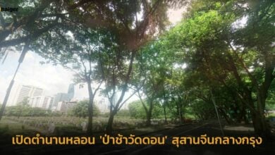 ป่าช้าวัดดอนงานดนตรีในสวน