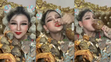 ขนเพชร บ้าจี้ โชว์กินตุ๊กแกทอด
