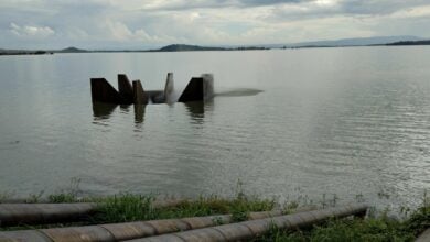 โครงการชลประทาน เขื่อนน้ำอูน