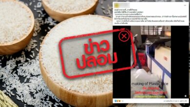 ข้าวสารพลาสติก