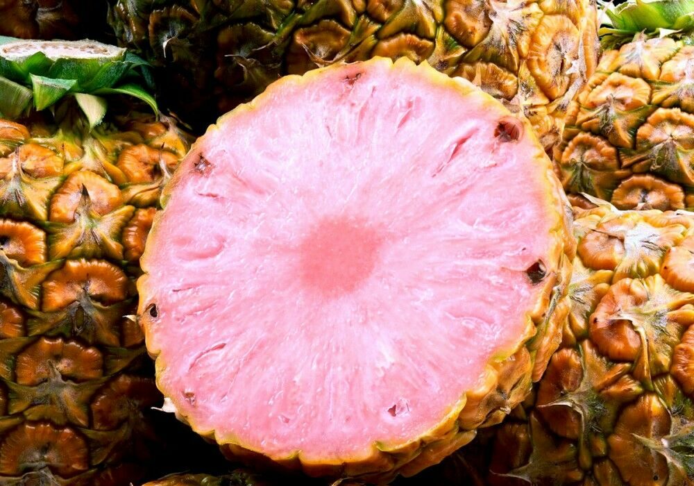 สับปะรดสีชมพู