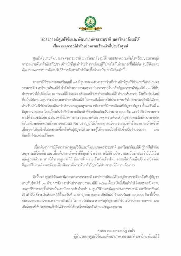 แม่โจ้ ต้นกล้ากัญชา