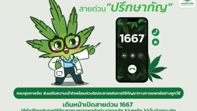 สายด่วน กัญชา