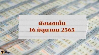 มาแล้ว ! ผังเลขเด็ด 16 6 65 รีบหาซื้อ ก่อนกลายเป็นเลขดังงวดนี้