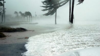 ประเทศไทย ฝนตกหนัก