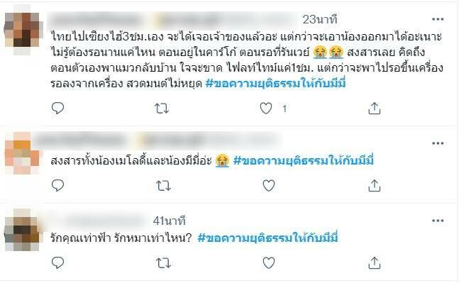 หมามีมี่ตาย