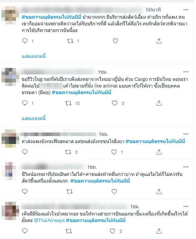 มีมี่ ลี ล่าสุด