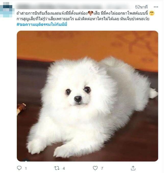 เมโลดี้ หมา