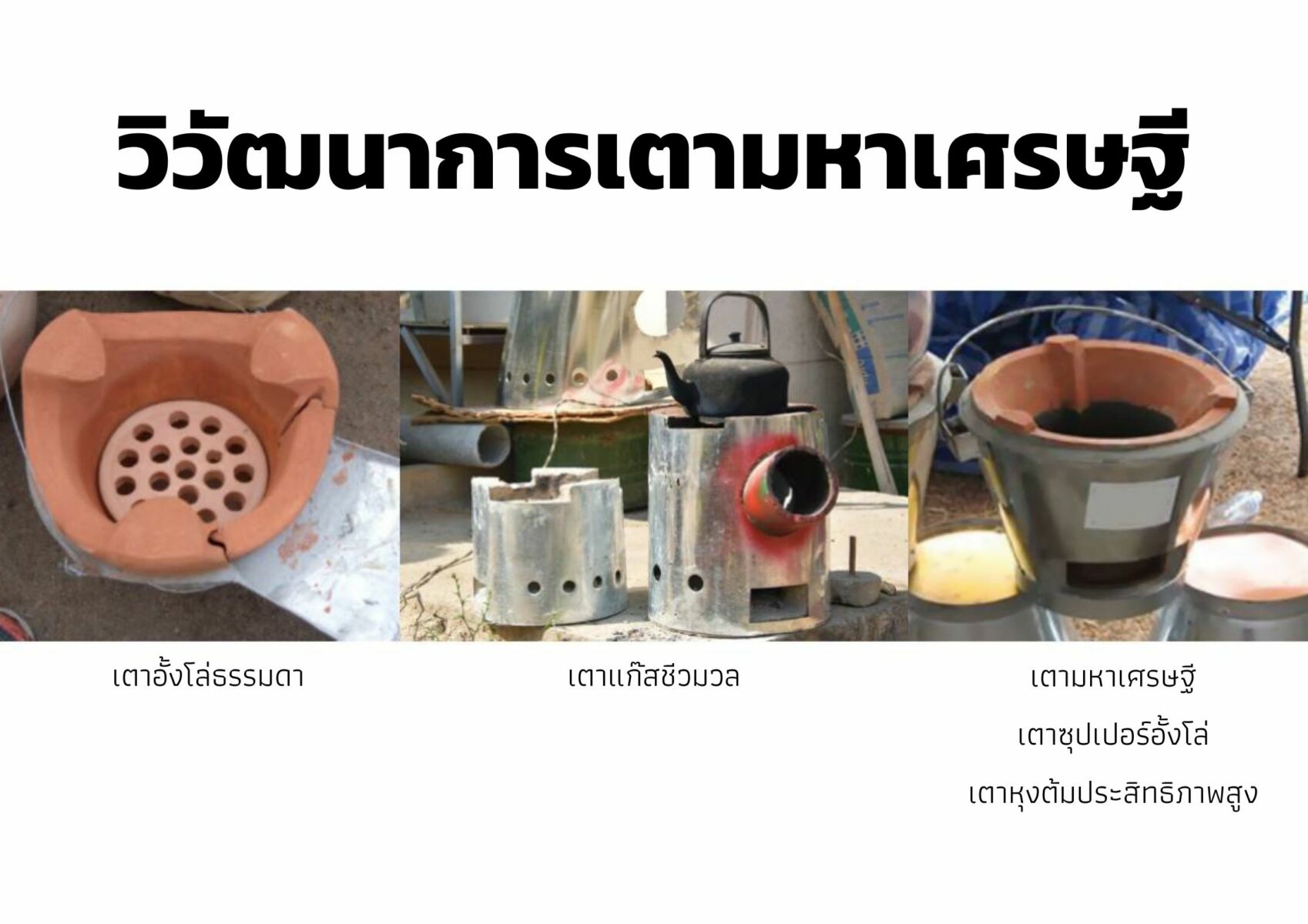 วิวัฒนาการเตามหาเศรษฐี