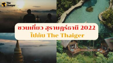 ชวนเที่ยว สุราษฎร์ธานี ตะลุยกิจกรรมสุดแอดเวนเจอร์ ท่ามกลางธรรมชาติ ไปกับ The Thaiger
