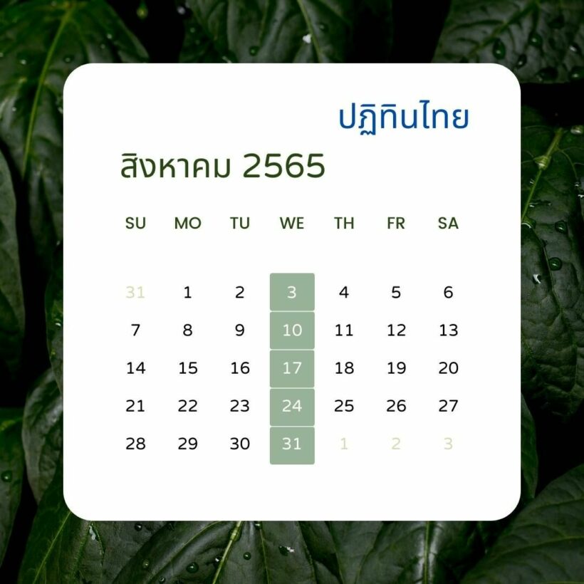 ปฏิทินวันธงชัยเดือนสิงหาคม 2565