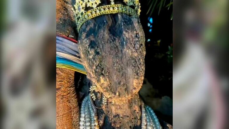 เลขเด็ดพี่สาวคนสวย ตุ๊กตาไม้ 1 8 65