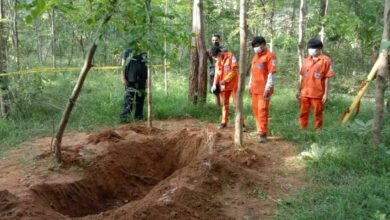 ฆ่าฝังดิน