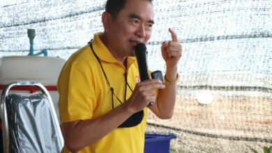 หมอวรงค์ แผนนารีพิฆาต