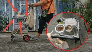 คุณยาย เลี้ยงแมวจร