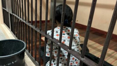 แม่ขโมยนม