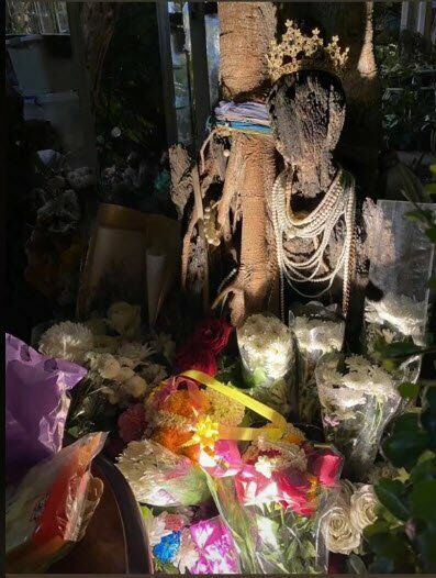 พี่สาวตุ๊กาตไม้ ใต้ต้นโพธิ์อยู่ที่ไหน