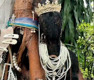 ตุ๊กตาพี่สาวอยู่ที่ไหน