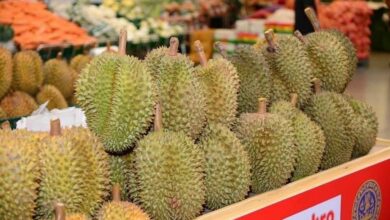 ข่าวทุเรียน ส่งออกสินค้าเกษตร