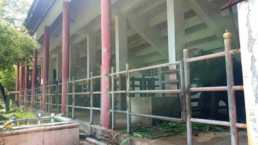 ฟาร์มจระเข้สมุทรปราการ