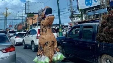 ไดโนเสา