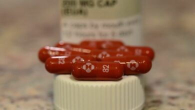 โมลนูพิราเวียร์