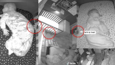 มือปริศนา ซ่อนตัวใต้เตียง