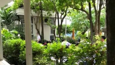 แก๊งค์ตบเข็ม