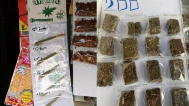 เสรีกัญชา ชมรมแพทย์ชนบท