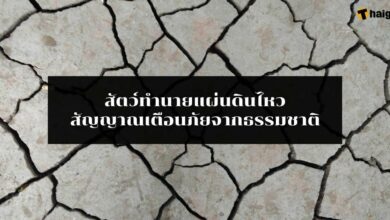 สัญญาณเตือนภัยจากธรรมชาติ ก่อนเกิดแผ่นดินไหว