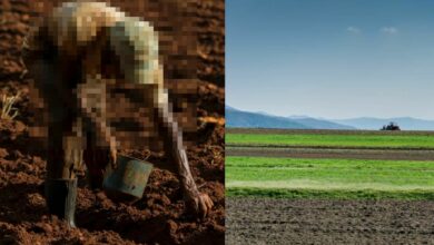 โดนหลอกไปทำงานต่างประเทศ อออสเตรเลีย