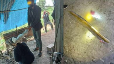 ข่าวลูกทรพี ล่าสุด