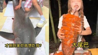 น้องอุ้ม กินฉลาม ช่องบิน