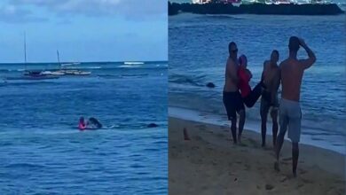 แมวน้ำมังค์ โจมตีสาว