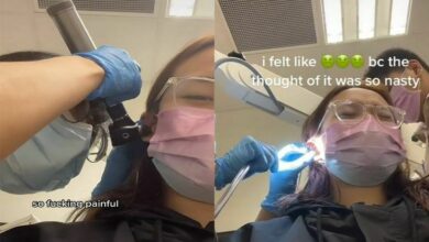 แมลงสาบเข้าหูตอนนอน